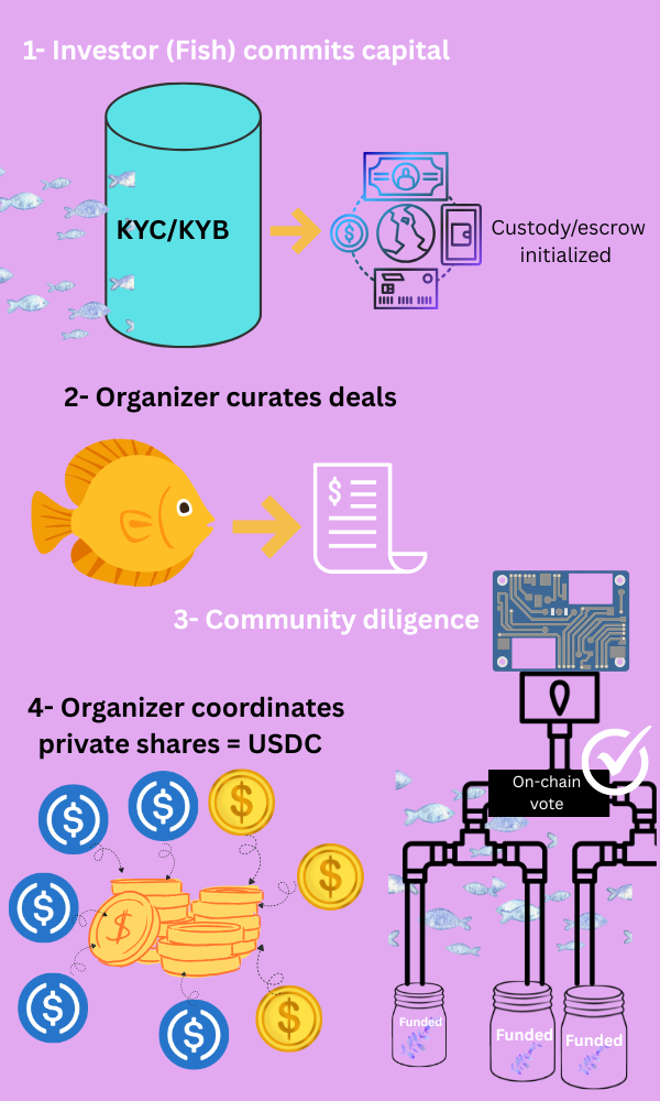 Liquidity Flow &amp; Management